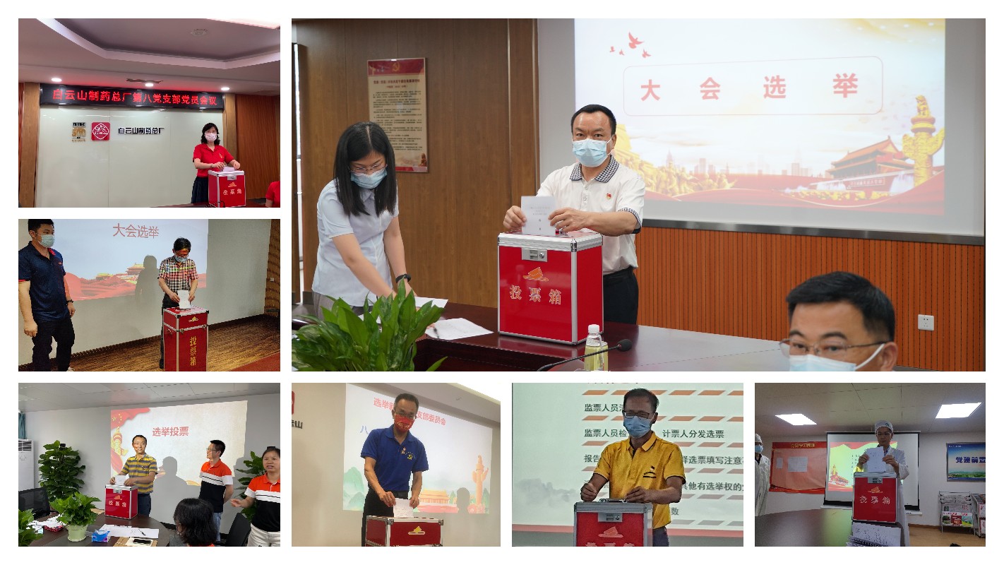 K8凯发各党支部圆满实现换届选举工作
