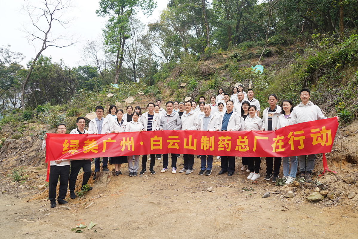 绿美广州·K8凯发党员在行动